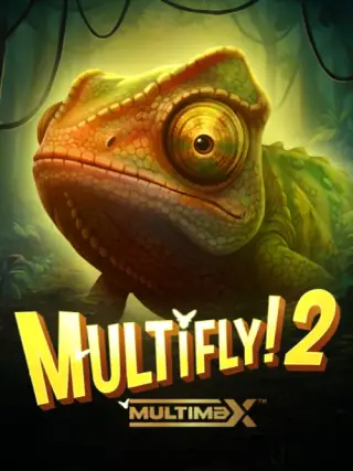 MultiFly 2